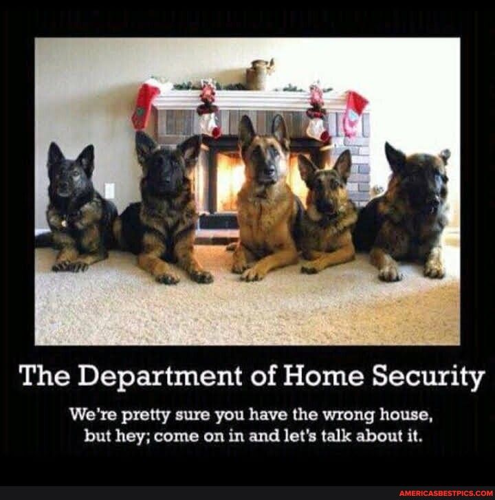 The Department of Home Security Were pretty sure you have the wrong house but hey come on in and lets talk about it