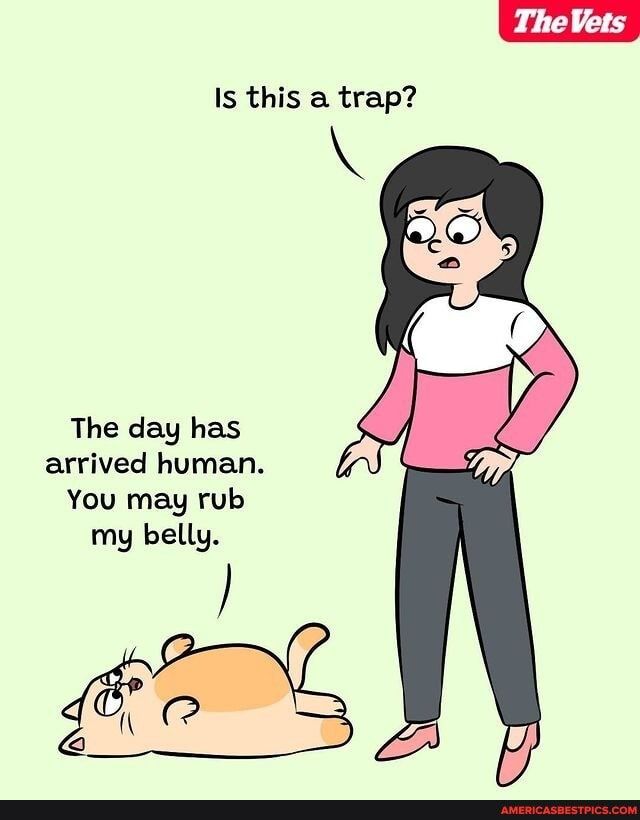 Is this a trap The day has arrived human You may rub my belly