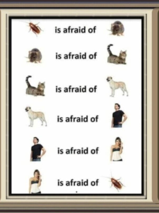N isafraid of is afraid of e is afraid of e is afraid of i i is afraid of _3 9 isafraidof