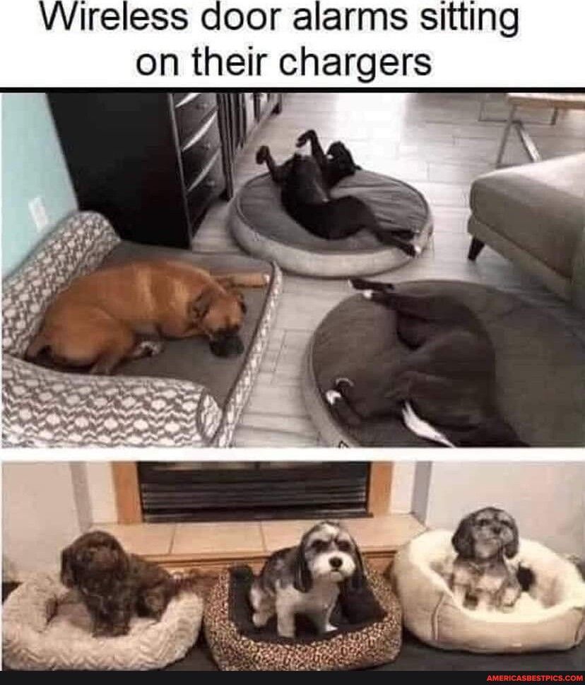 Ireless door alarms sitting on their chargers