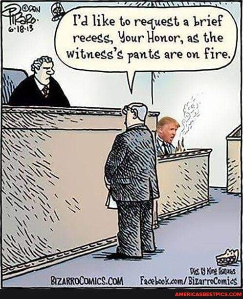 Id like to request a brief receds Your Honor a the Witnedgs pantg are on fire s s o _ BZARROCOMICSCOM_ Faeookeom BizarreComis