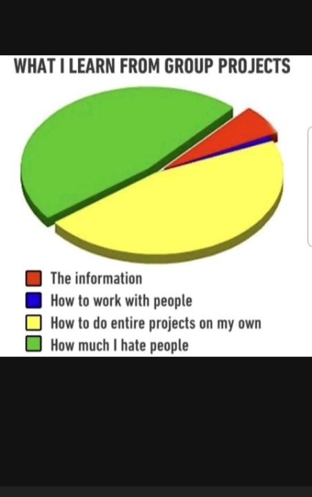 WHAT LEARN FROM GROUP PROJECTS The information How to work with people How to do entire projects on my own How much hate people