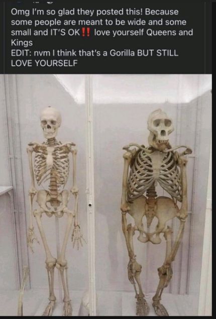 Omg Im so glad they posted this Because some people are meant to be wide and some small and ITS OK love yourself Queens and Kings EDIT nvm think thats a Gorilla BUT STILL LOVE YOURSELF