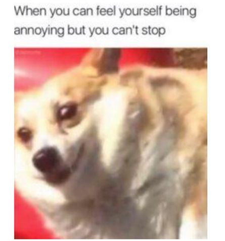 When you can feel yourself being annoying but you cant stop