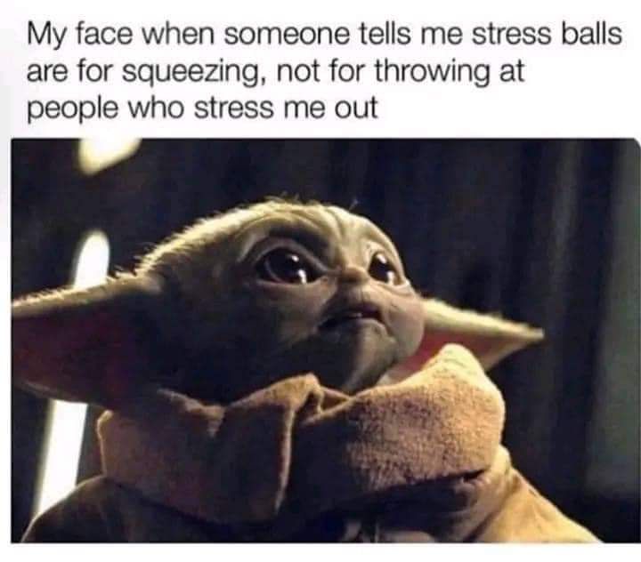 My face when someone tells me stress balls are for squeezing not for throwing at people who stress me out