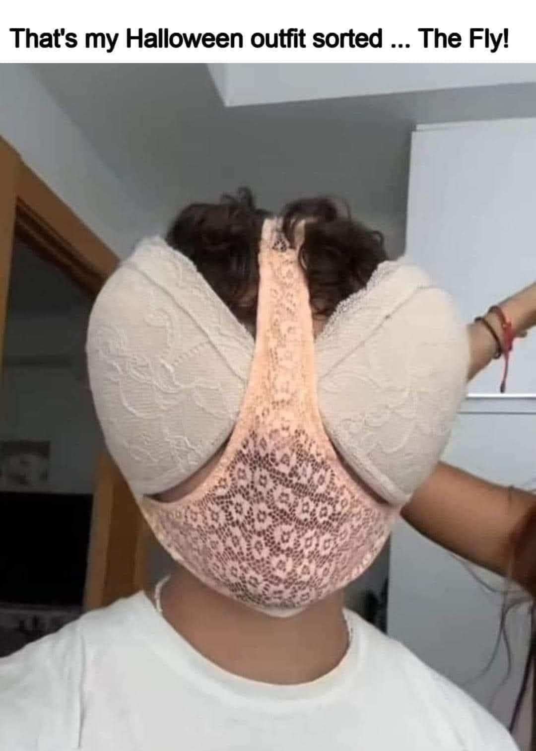 Thats my Halloween outfit sorted The Fly