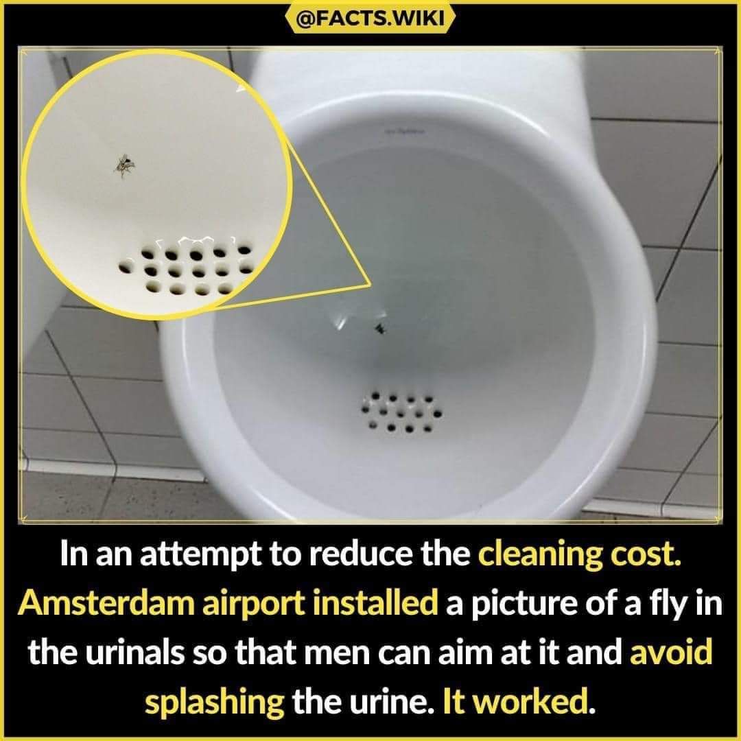 FACTSWIKI In an attempt to reduce the cleaning cost Amsterdam airport installed a picture of a fly in the urinals so that men can aim at it and avoid splashing the urine It worked