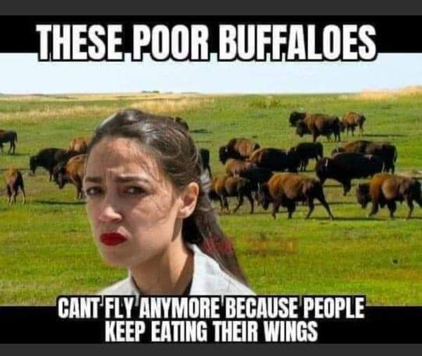 IHESEIPlllOIIIBlIFlFAllIES Y i T J4 Glll FLY ANYMORE BECAUSE PEOPLE KEEP EATING THEIR WINGS