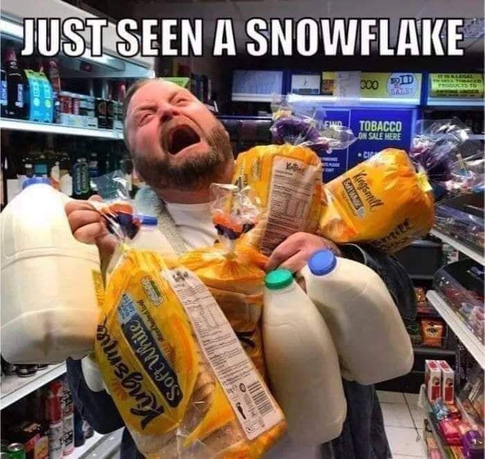 lllST SEEN A SNOWFEL l l i