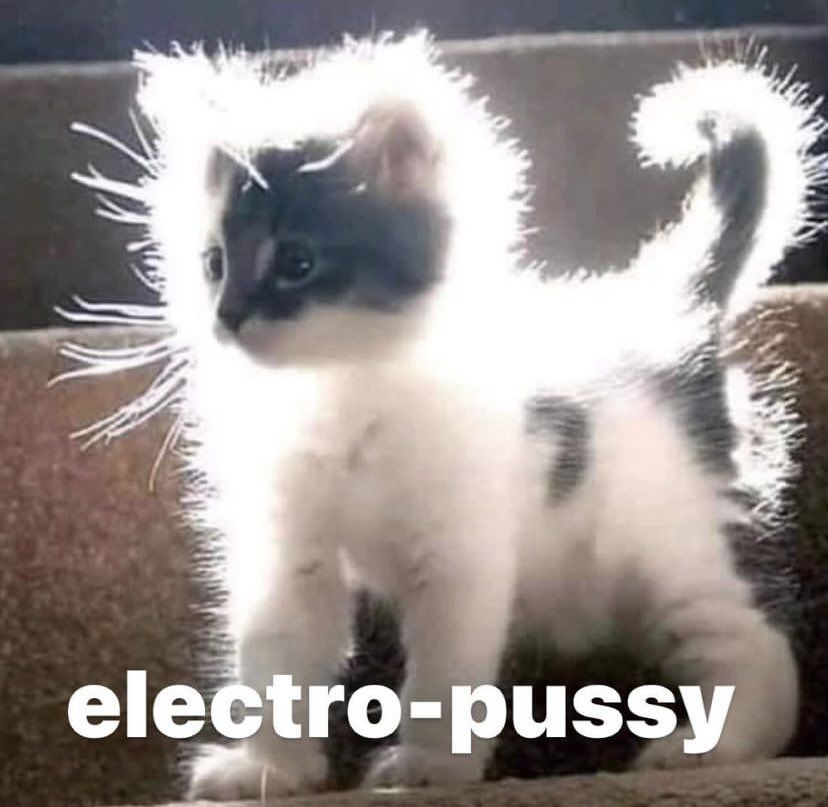 electro pussy