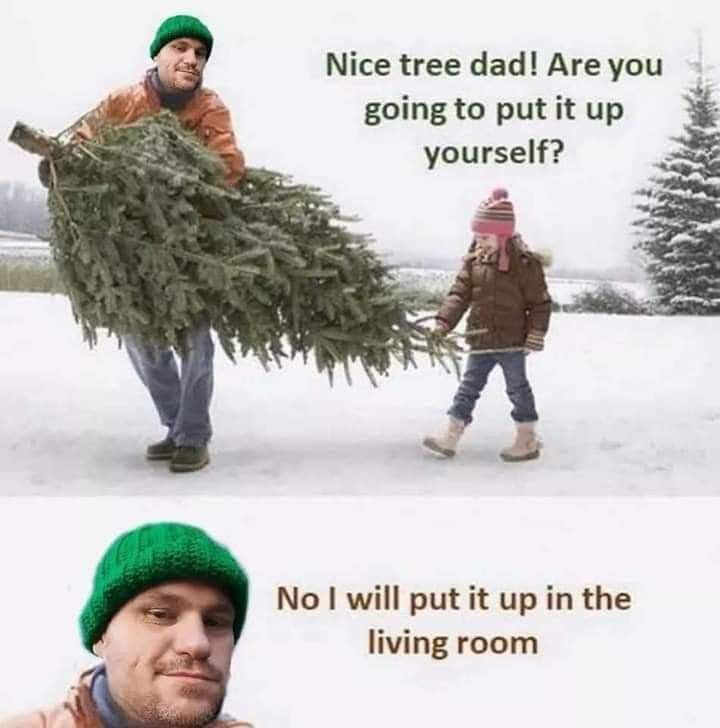 Nice tree dad Are you going to put it up yourself No I will put it up in the living room