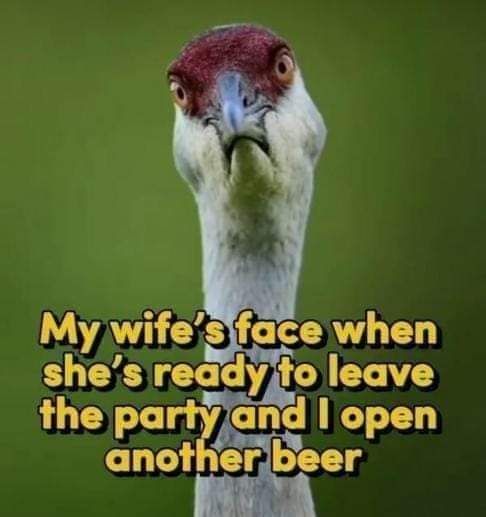 My wifesiface when shes readyfo leave the partyand open