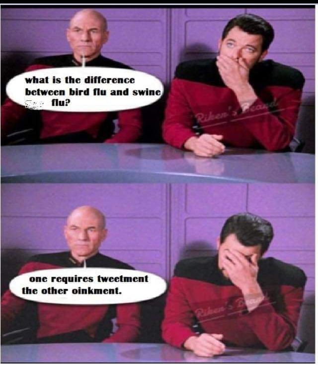 what is the differenc between bird flu and swine flu one requires tweetment the other oinkment