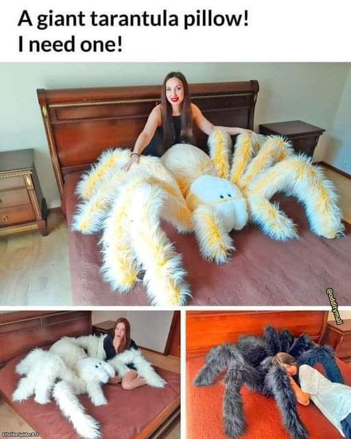 A giant tarantula pillow need one
