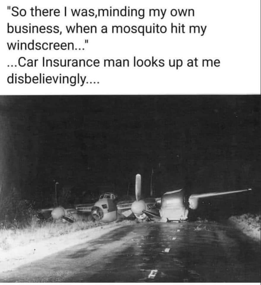 So there wasminding my own business when a mosquito hit my windscreen ar Insurance man looks up at me disbelievingly