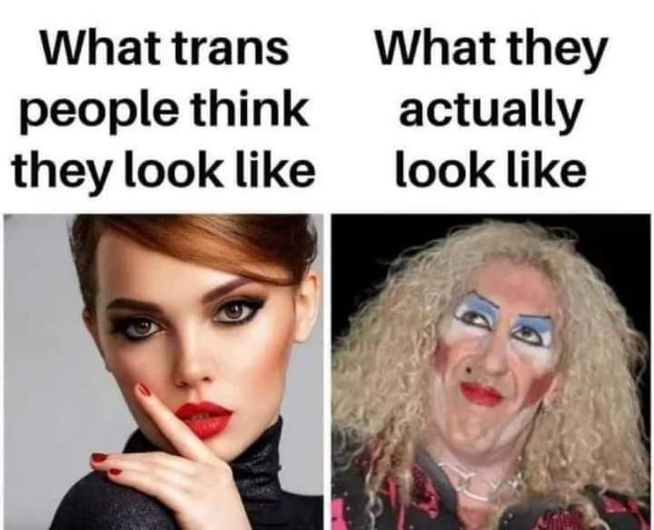 Whattrans What they people think actually they look like look like 4
