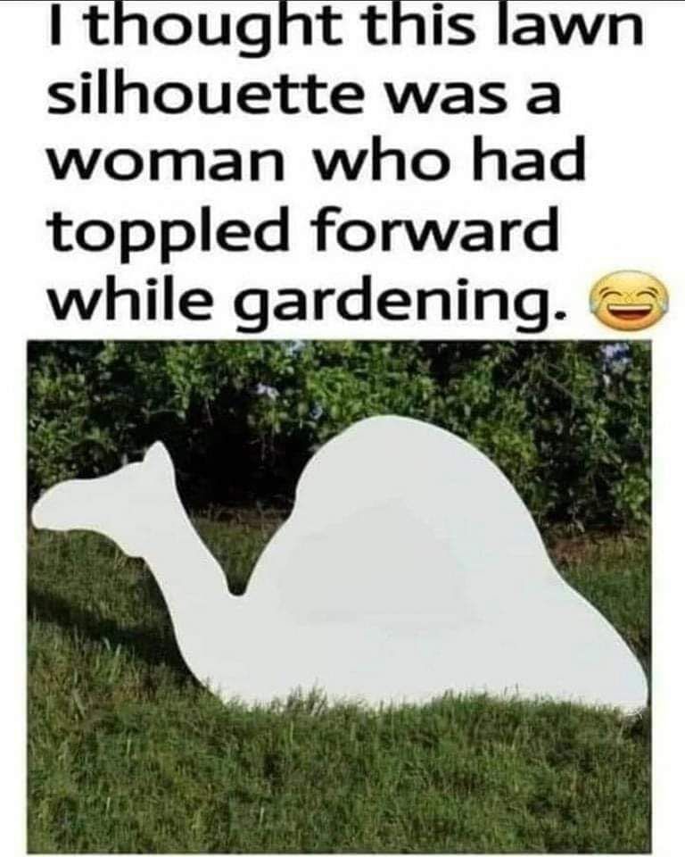 thought this lawn silhouette was a woman who had toppled forward while gardening