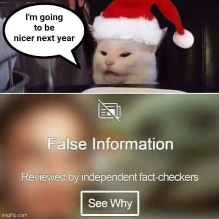 Im going to be icer next year Eu e Information Mw mddent fact checkers