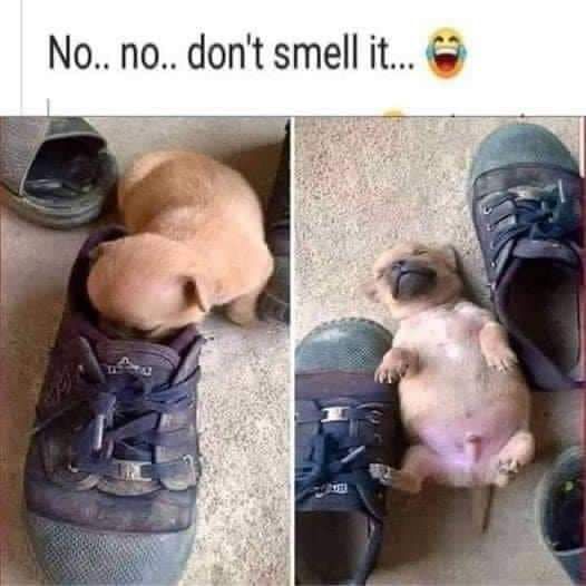 No no dont smell it