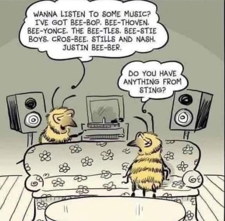 WANNA LISTEN To SOME Music TVE GOT BEE BOP BEE THOVEN BEE YONCE THE BEE TLES BEE STIE BOYS CROS BEE STILLS AND NASH JUSTIN BEE BER DO YOU HAVE ANYTHING FROM