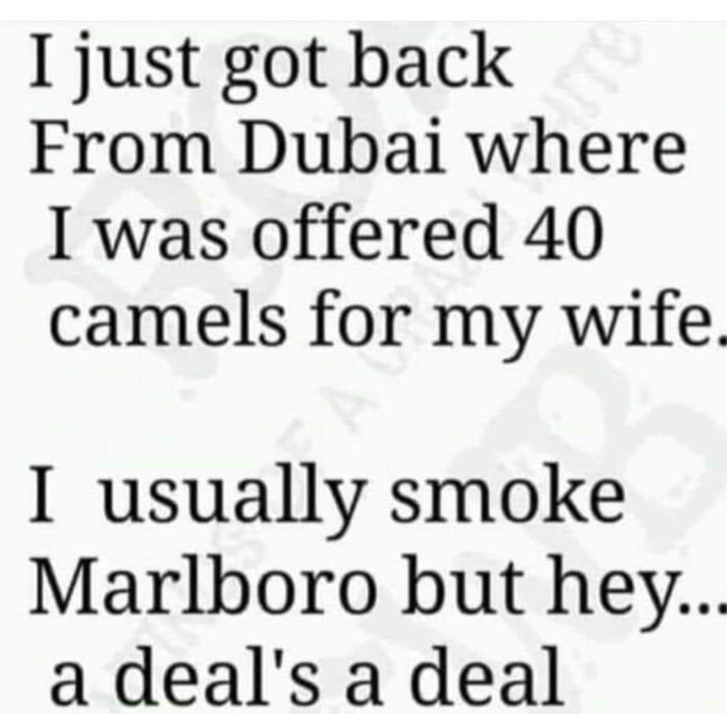 I just got back From Dubai where I was offered 40 camels for my wife I usually smoke Marlboro but hey a deals a deal