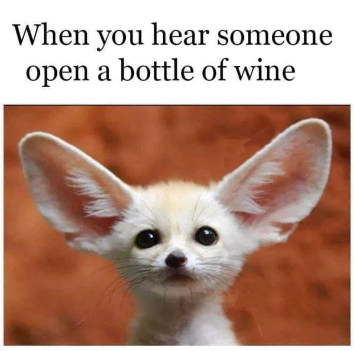 When you hear someone open a bottle of wine