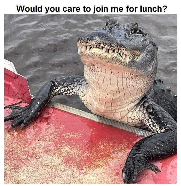 Would you care to join me for lunch