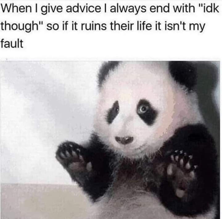 When give advice always end with idk though so if it ruins their life it isnt my fault