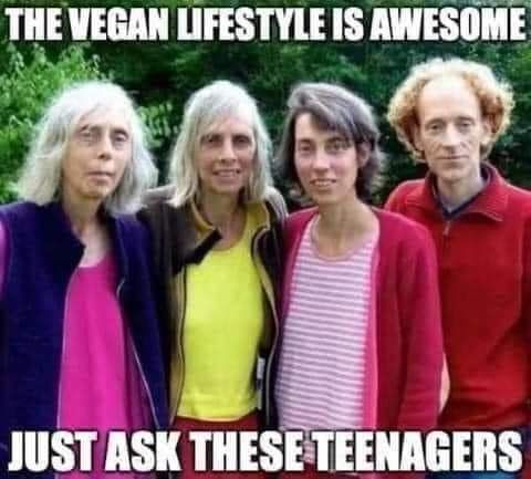 THE VEGAN LIFESTYLE IS AWESOME IUSSK THESETEENAGERS