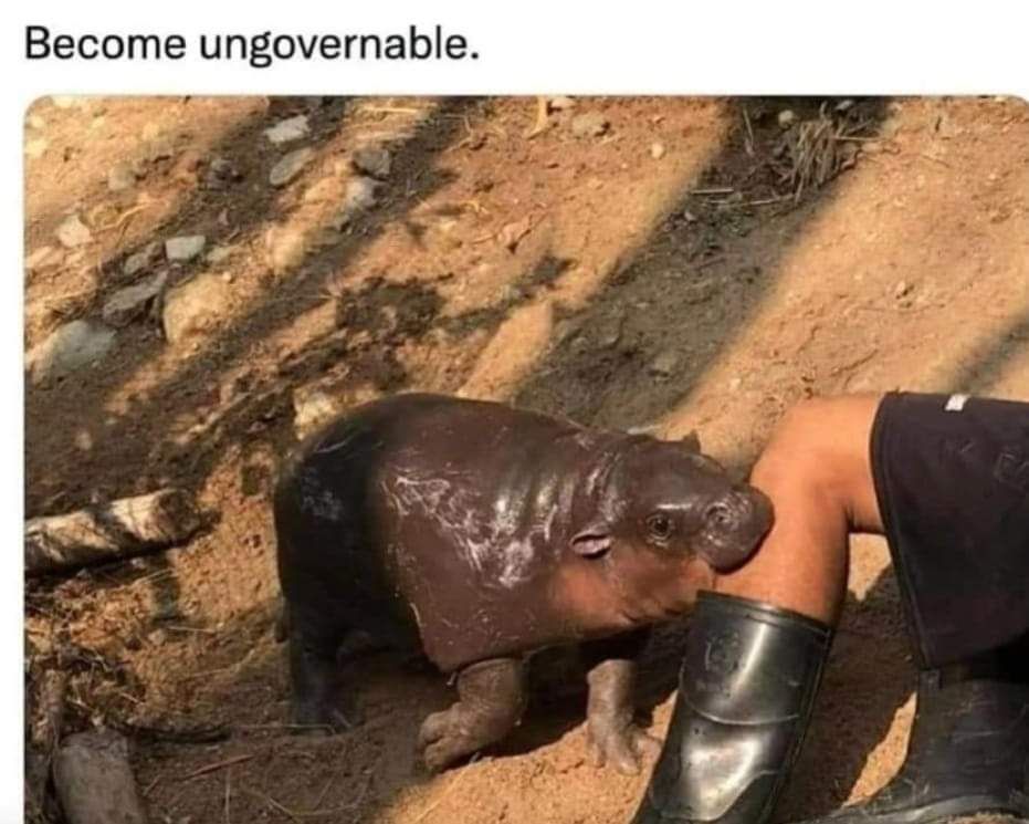 Become ungovernable