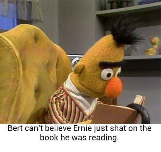 Bert cant believe Ernie just shat on the book he was reading