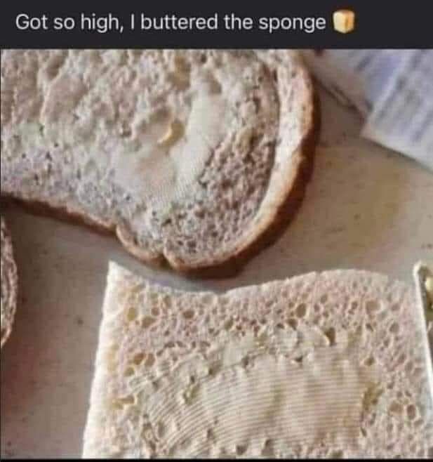 Got so high buttered the sponge