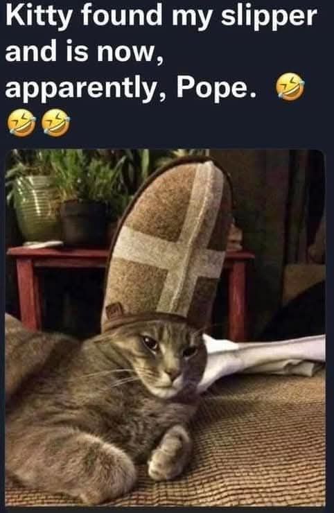 Kitty found my slipper 1 N YA apparently Pope