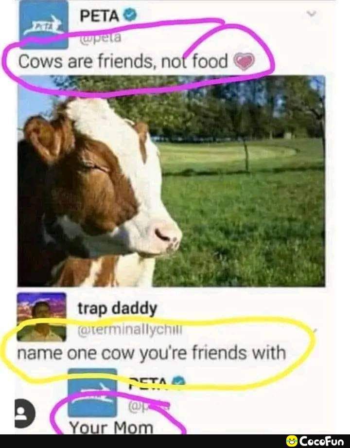 PETA Cows are fnends nof food trap daddy