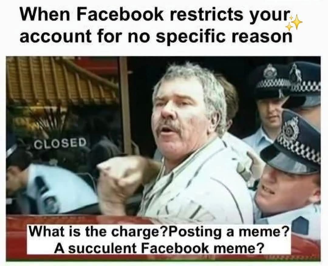 When Facebook restricts your account for no specific reason What is the chargePostlng ameme A succulent Facebook meme