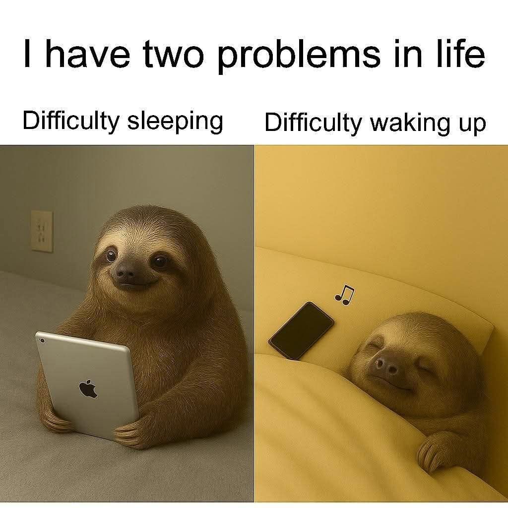 I have two problems in life
Difficulty sleeping | Difficulty waking up
