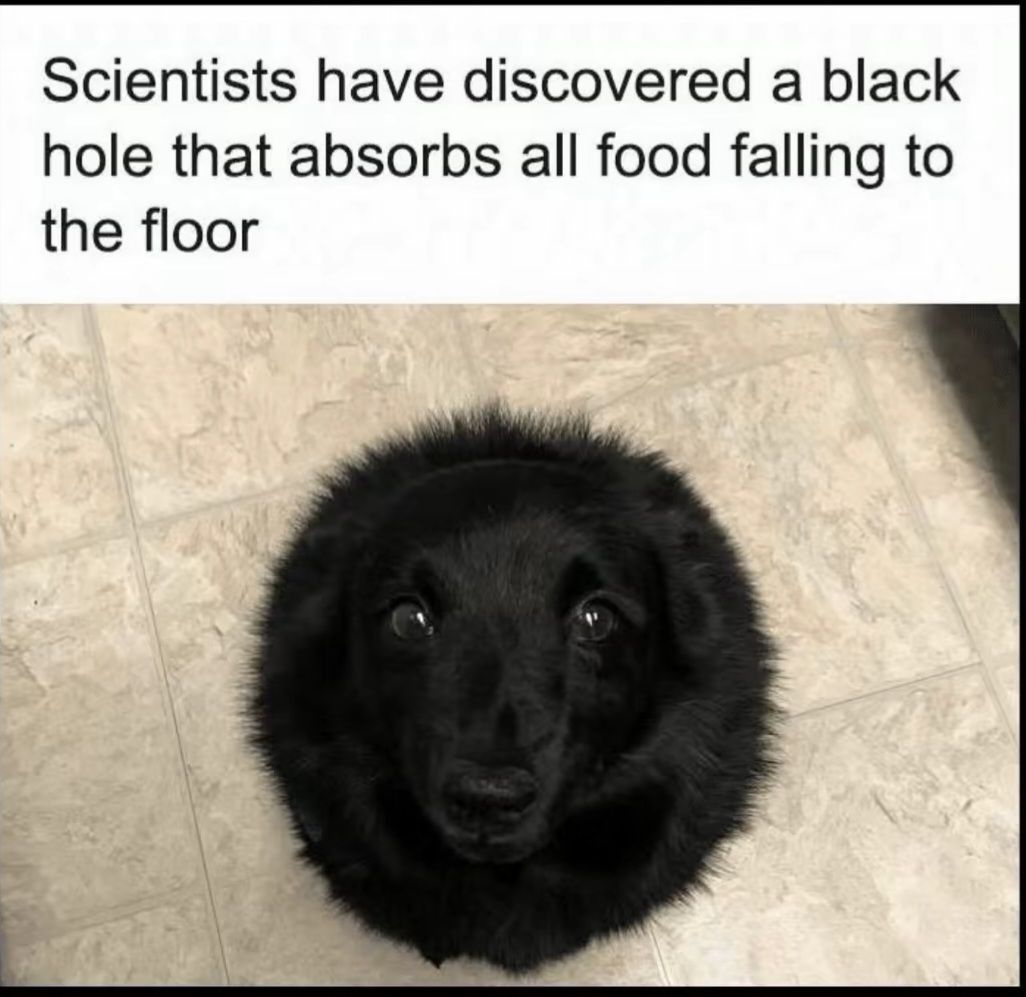 Scientists have discovered a black hole that absorbs all food falling to the floor