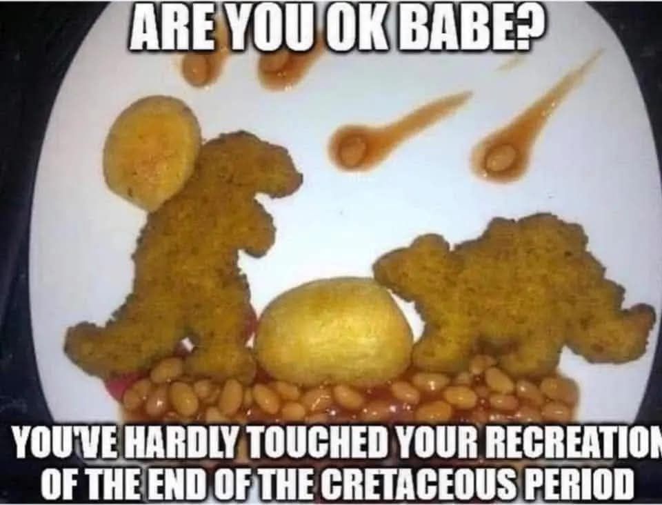 ARE YOU OK BABE?
YOU'VE HARDLY TOUCHED YOUR RECREATION OF THE END OF THE CRETACEOUS PERIOD