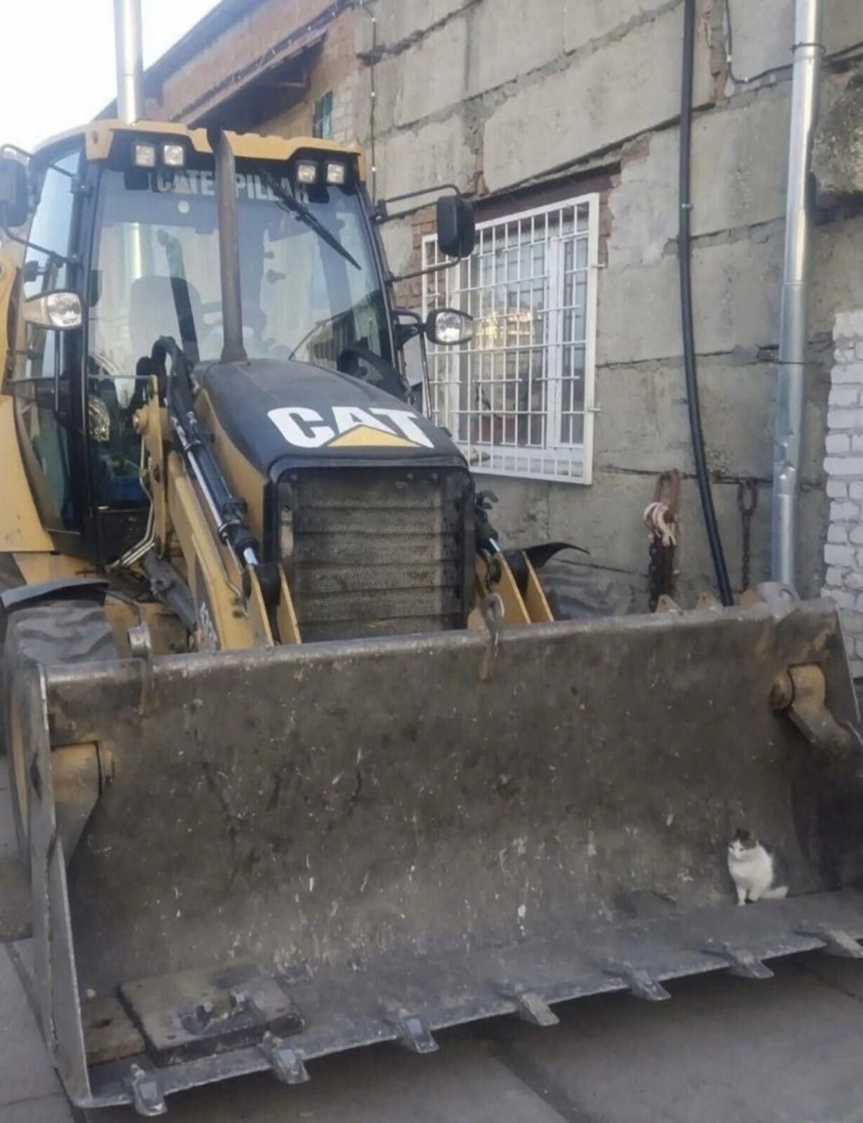 CAT logo on excavator; a small white cat sitting on the rim of the bucket of a large construction backhoe near a building.