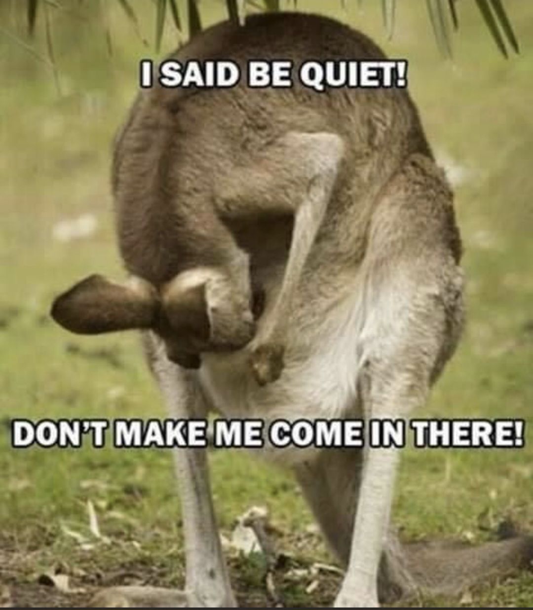 I SAID BE QUIET! DON'T MAKE ME COME IN THERE!