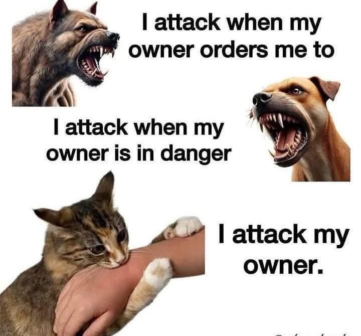 I attack when my owner orders me to. I attack when my owner is in danger. I attack my owner.