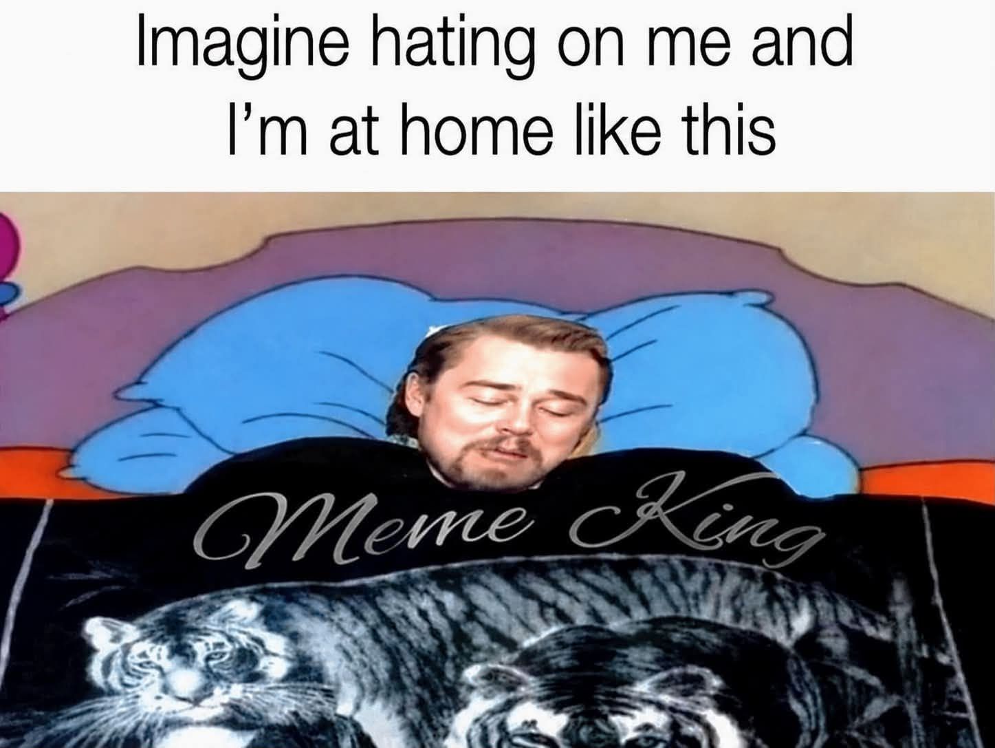 Imagine hating on me and I'm at home like this Meme King