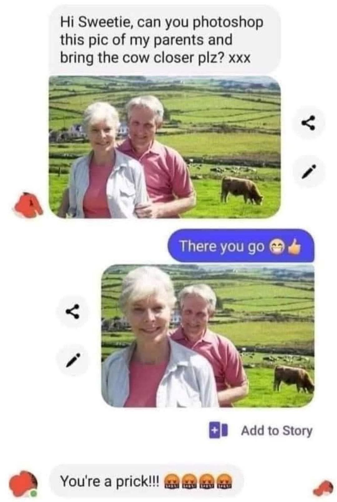 Hi Sweetie, can you photoshop this pic of my parents and bring the cow closer plz? xxx There you go 😉👍 You're a prick!!! 🤬🤬🤬🤬
