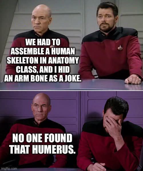 WE HAD TO ASSEMBLE A HUMAN SKELETON IN ANATOMY CLASS, AND I HID AN ARM BONE AS A JOKE. NO ONE FOUND THAT HUMERUS.