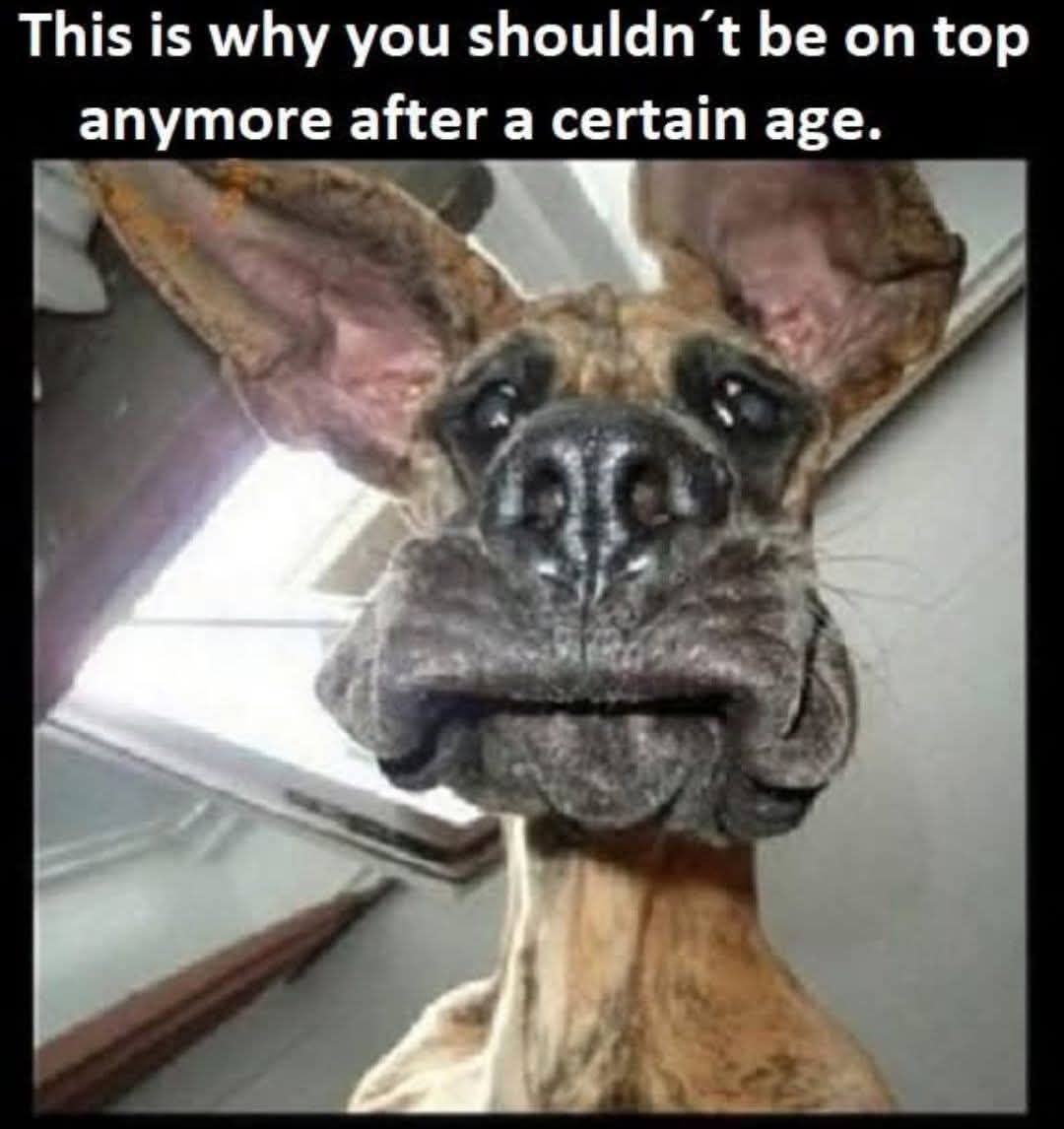 This is why you shouldn't be on top anymore after a certain age.