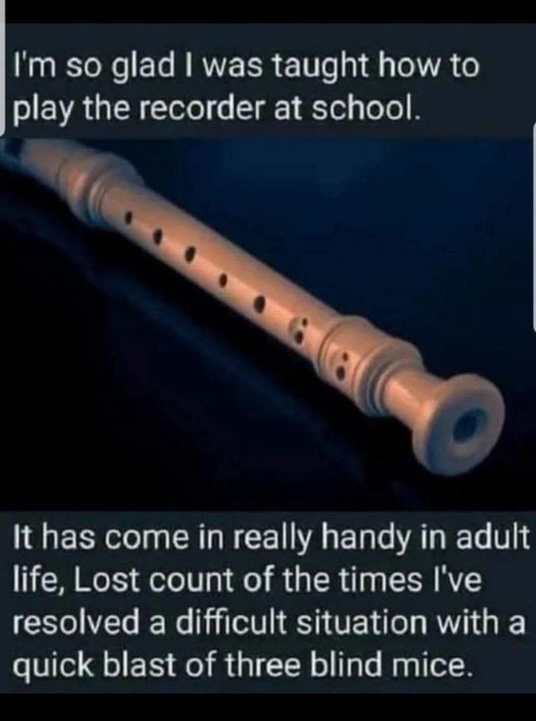 I'm so glad I was taught how to play the recorder at school. It has come in really handy in adult life, Lost count of the times I've resolved a difficult situation with a quick blast of three blind mice.