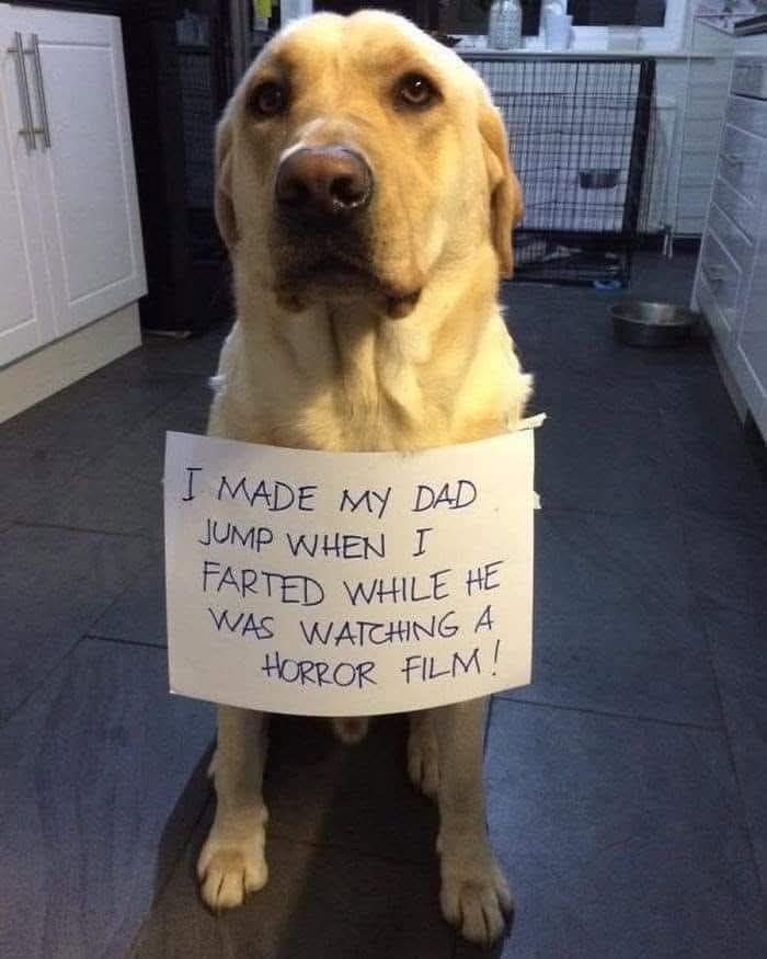I MADE MY DAD JUMP WHEN I FARTED WHILE HE WAS WATCHING A HORROR FILM!