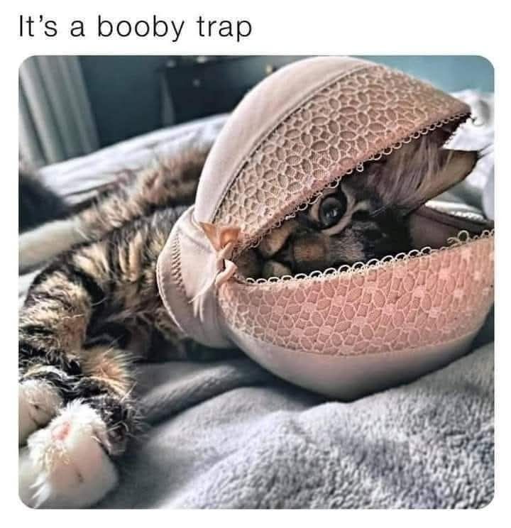 It's a booby trap