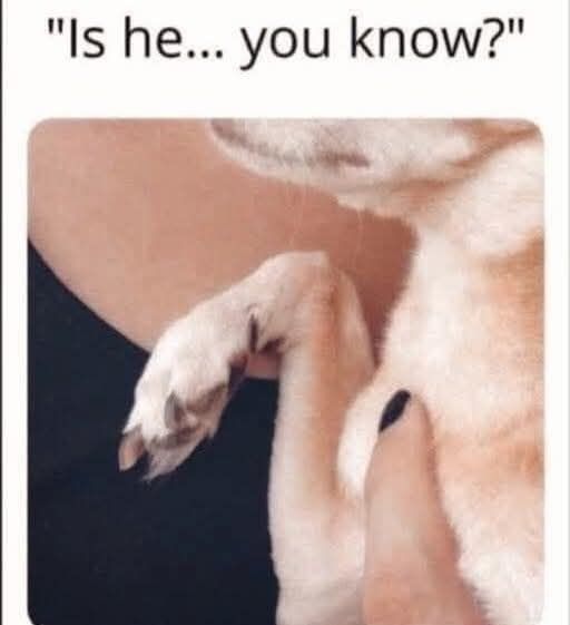 Is he... you know?