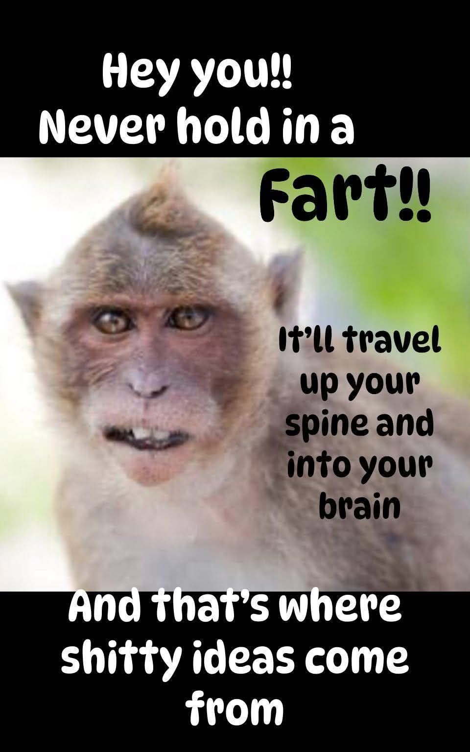 Hey you!! Never hold in a Fart!! It'll travel up your spine and into your brain And that's where shitty ideas come from